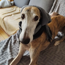 Oktober 2022 - Januar 2023